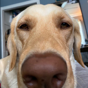 Meet your Posher, Adrian